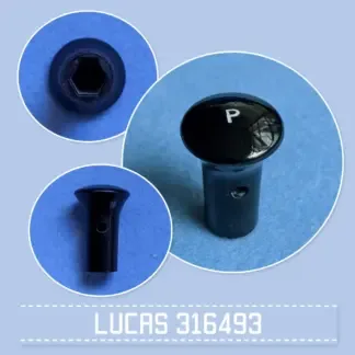 316493