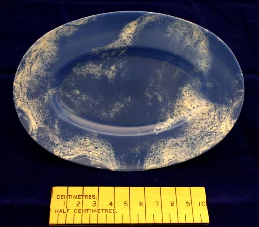 Bandalasta 209 plate