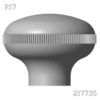 R17